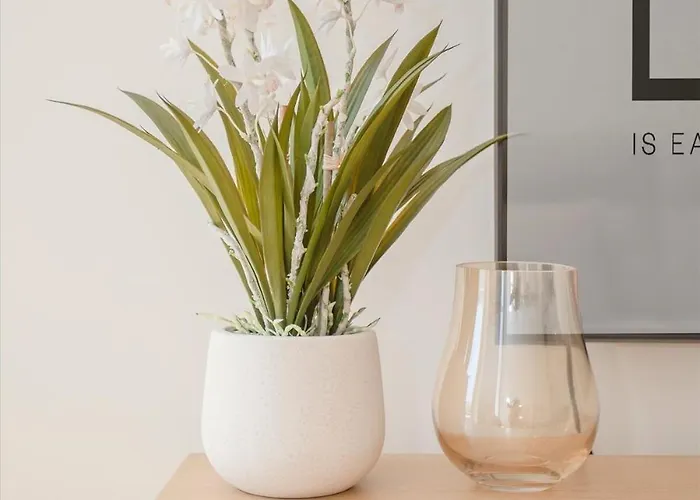 Liiiving In - Crystal Palace * 波尔图